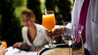 Best Hotel in siwan Bihar